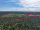 9770 State Hwy 94 - Photo 5
