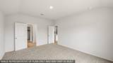 27540 Evergreen Cone Lane - Photo 16