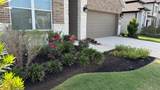 215 Amaranth Way - Photo 4
