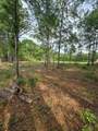 3805 Piney Point Road - Photo 9