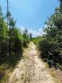 0 Nine Bridge Road - Photo 6