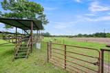 33633 Mayer Road - Photo 42