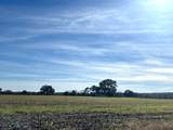 28 Acres Shaws Bend Road - Photo 1