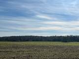 28 Acres Shaws Bend Road - Photo 3