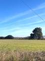 28 Acres Shaws Bend Road - Photo 4