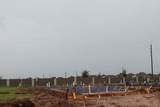 3223 Golden Pomelo Drive - Photo 10