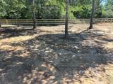 347 Iron Horse Road - Photo 28