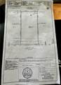 14321 Strausie - Photo 10