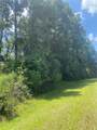 22922 Blackgum Drive - Photo 3