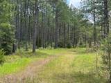 15780 Wooded Trail Way - Photo 5