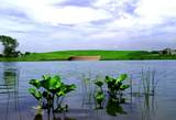 11631 Golden Grove Drive - Photo 22