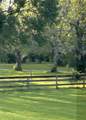 923 Y U Jones Road - Photo 43