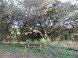 7515 Shelby Road - Photo 21