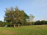 7515 Shelby Road - Photo 5