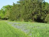 7515 Shelby Road - Photo 8