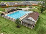 40746 Rosemary Rain Lane - Photo 16