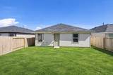 24114 Chirp Street - Photo 20