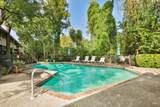 666 Ripple Creek Drive - Photo 41