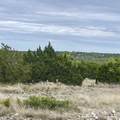 41 Tx Hwy 41 - Photo 35