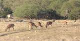 41 Tx Hwy 41 - Photo 4