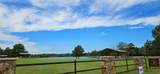 16029 Ridge Oak Road - Photo 4