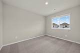 15659 Coneflower Hills Drive - Photo 20