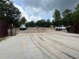 14321 Strausie - Photo 6