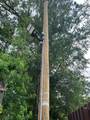 14321 Strausie - Photo 7