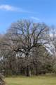 542 Briargrove Street - Photo 35