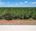 16029 Ridge Oak Road - Photo 5