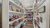 8233 Quarter Horse Lane - Photo 11
