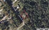 291 Leaning Oak Drive - Photo 6