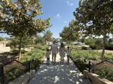 20210 Rolling Vista Drive - Photo 44