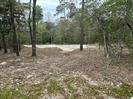 7389 Teaswood Drive - Photo 12