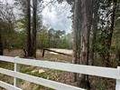 7389 Teaswood Drive - Photo 1