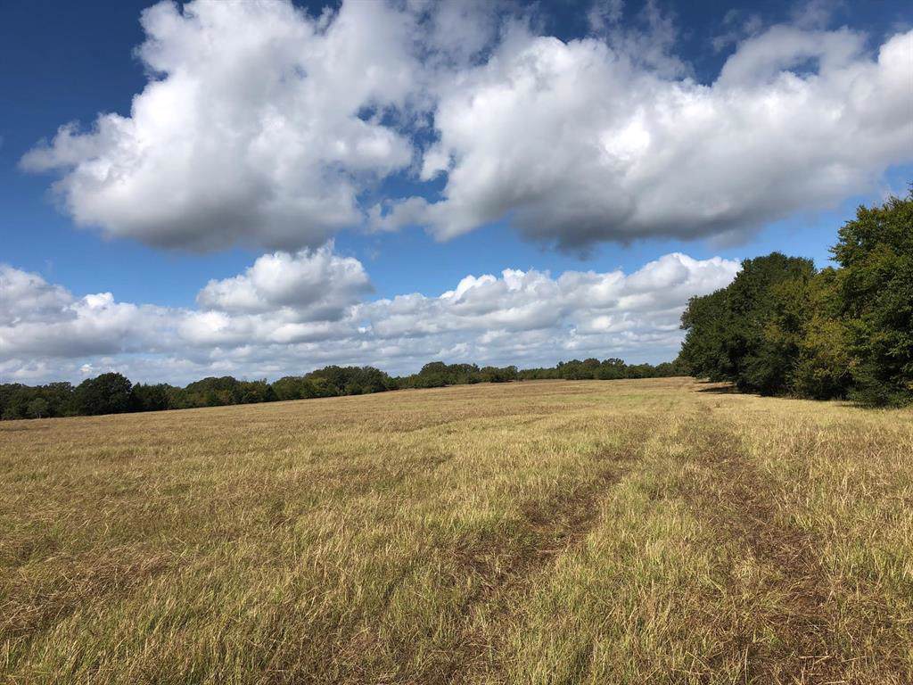 475AC Fm 489 - Photo 1