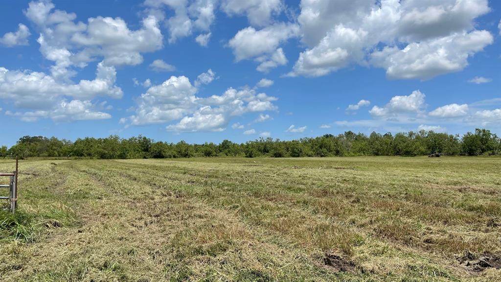 000 County Road 62 - Photo 1