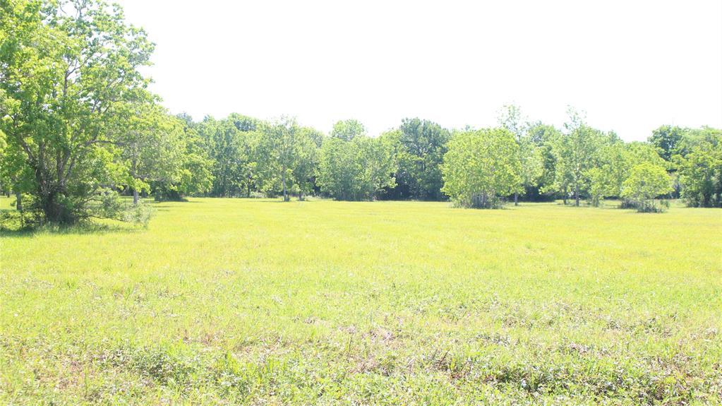 22511 Chenango Lake Drive - Photo 1