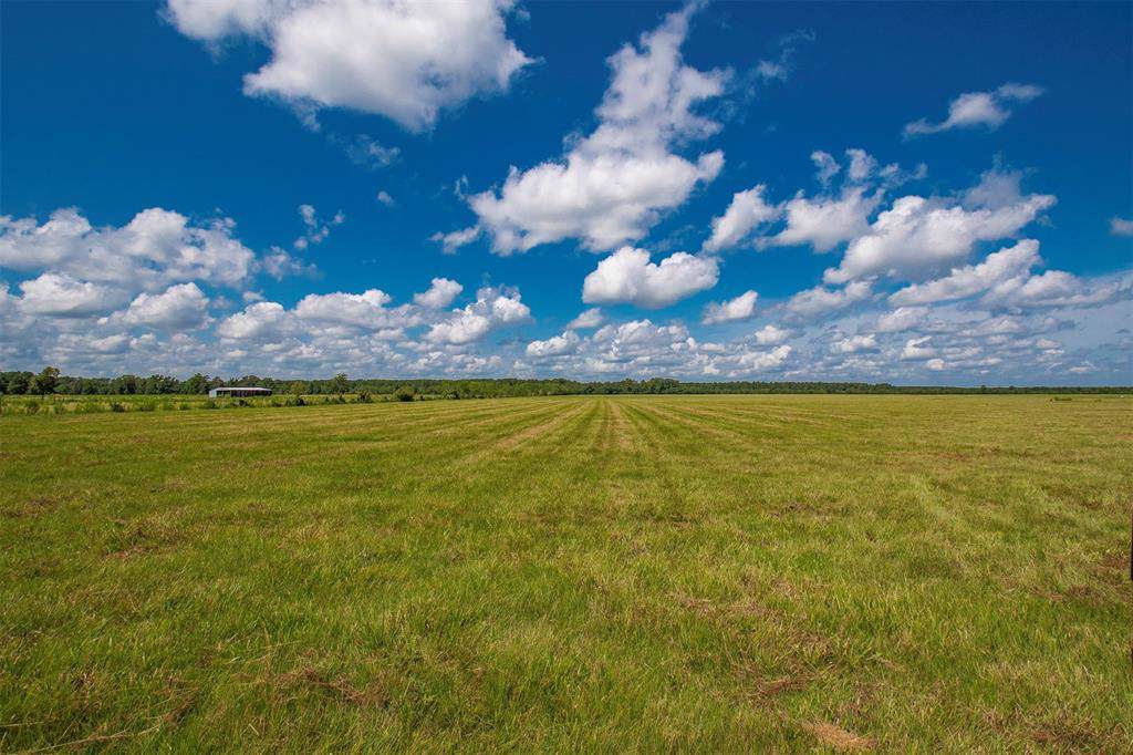 Tract 14 County Road 2285 - Photo 1