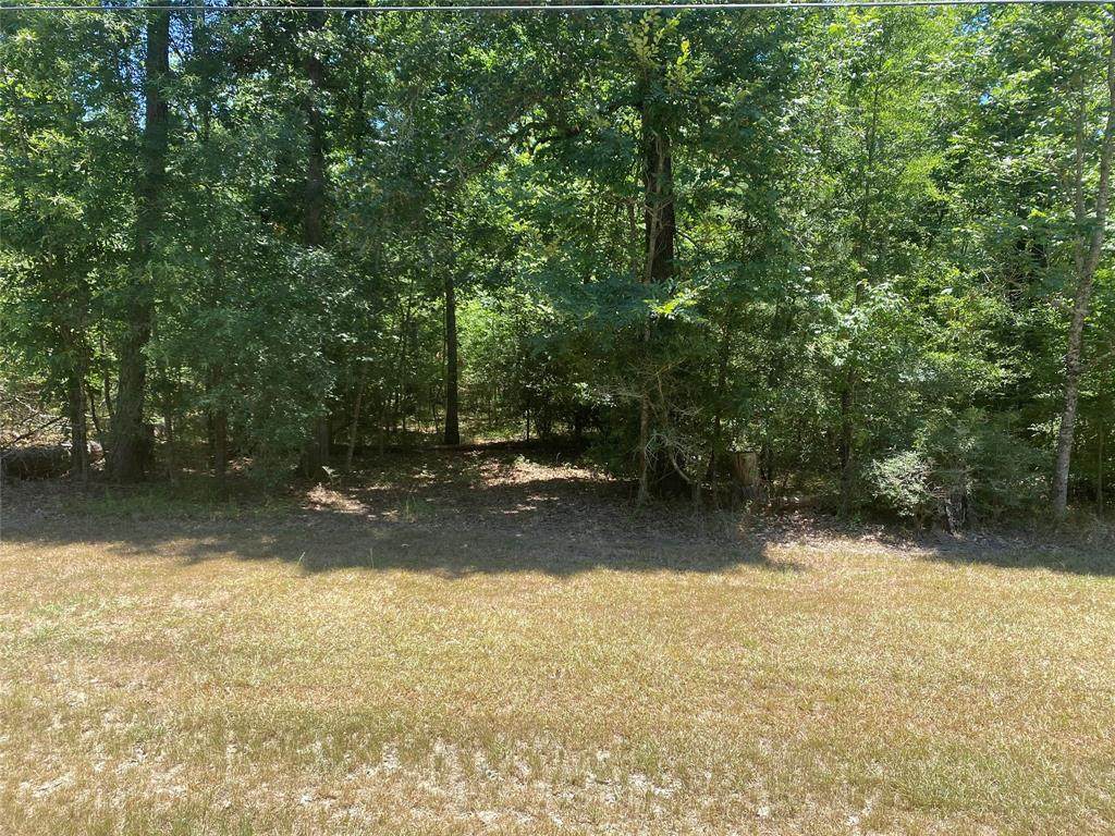 0 Hickory Ridge - Photo 1