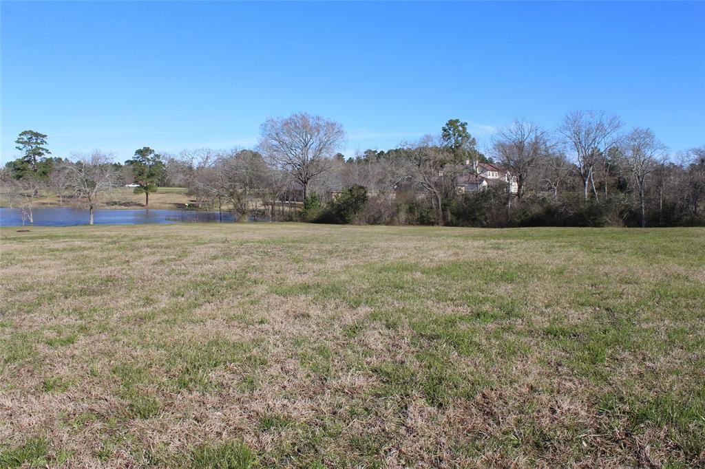 1698 Opal Trail - Photo 1