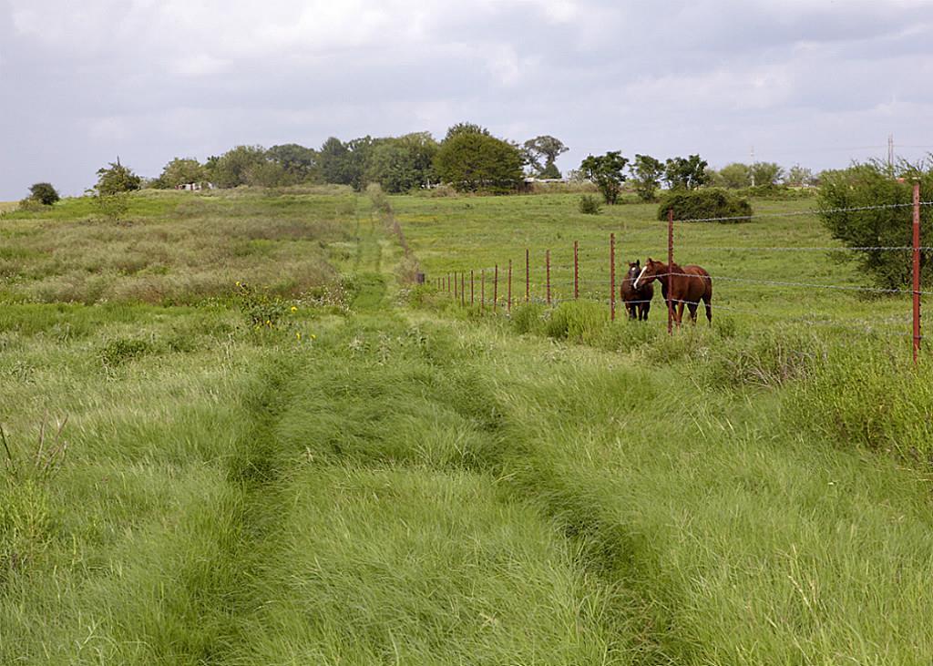 2339 Hwy 36 - Photo 1