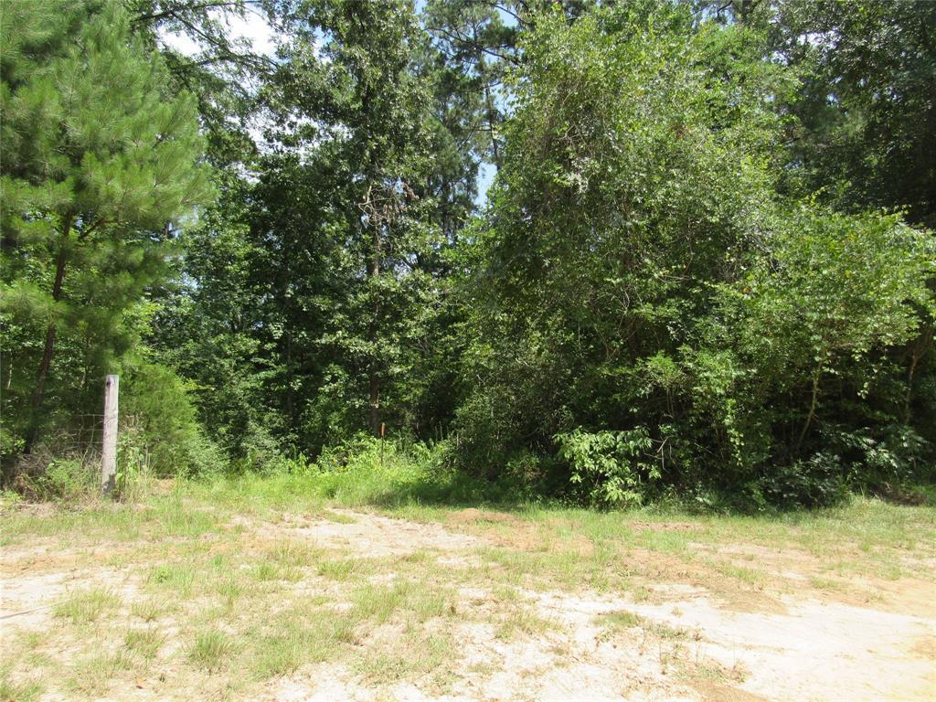 TBD Hickory Hill Road - Photo 1