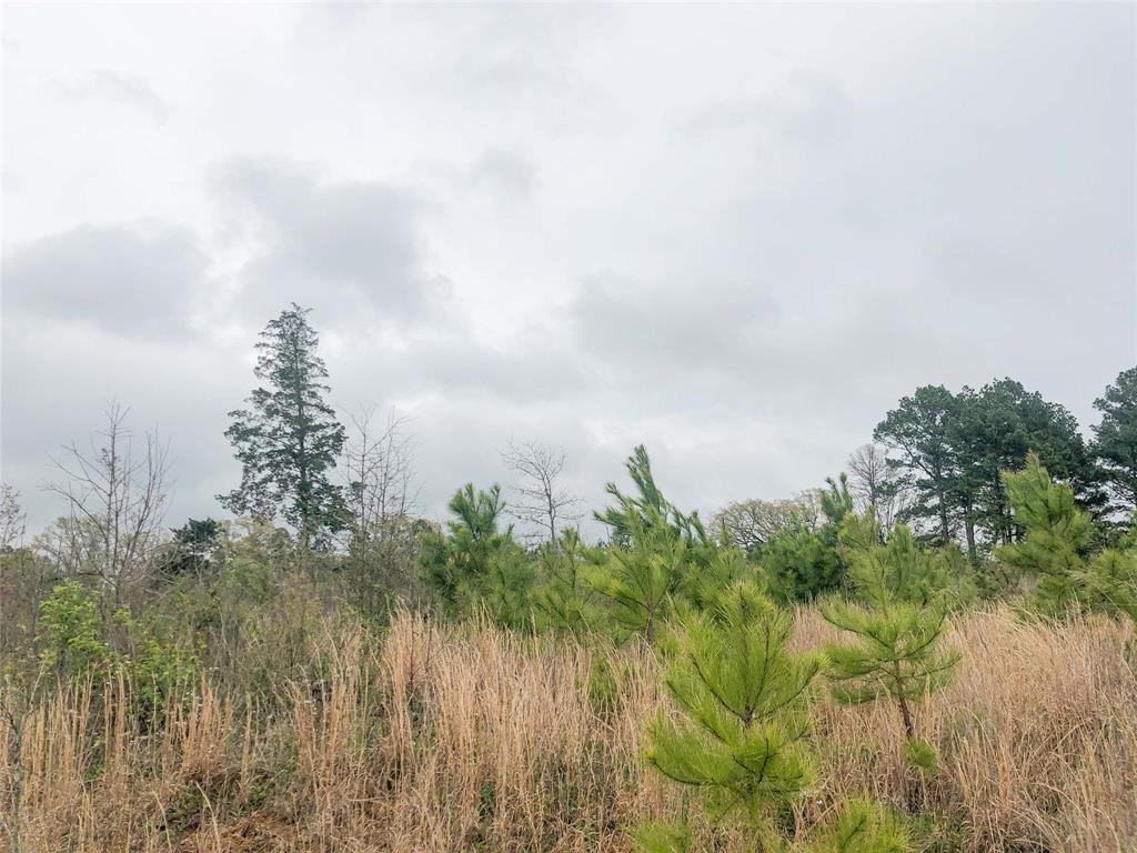 0 County Rd 3365 - Photo 1