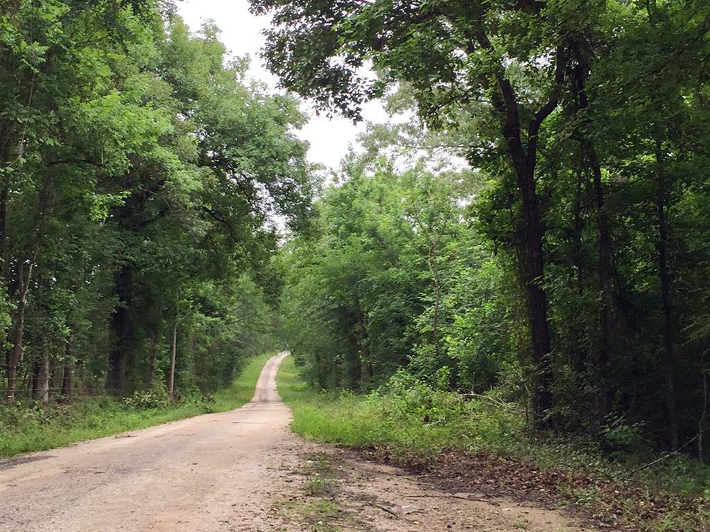 181 Ac Harrell Road - Photo 1