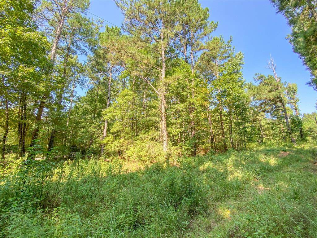 0 Gourd Creek Rd - Photo 1