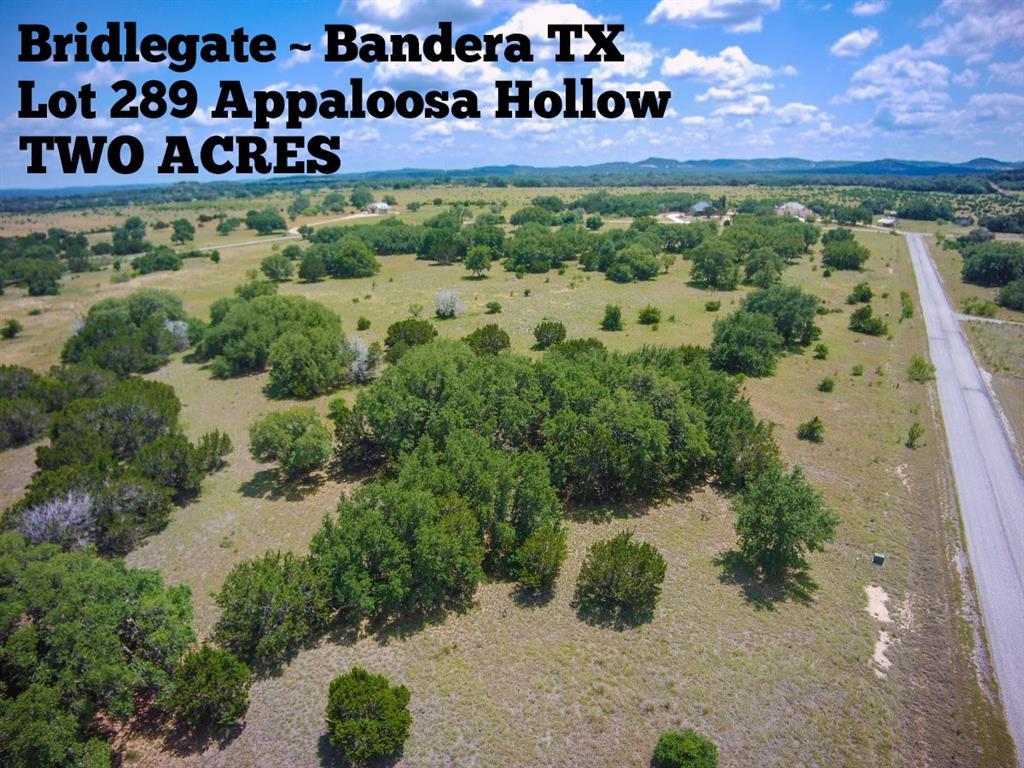 Lot 289 Appaloosa Hollow - Photo 1
