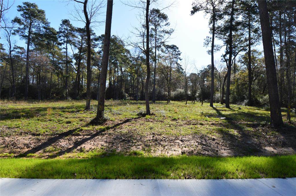 15311 Veranda Oaks Lane - Photo 1