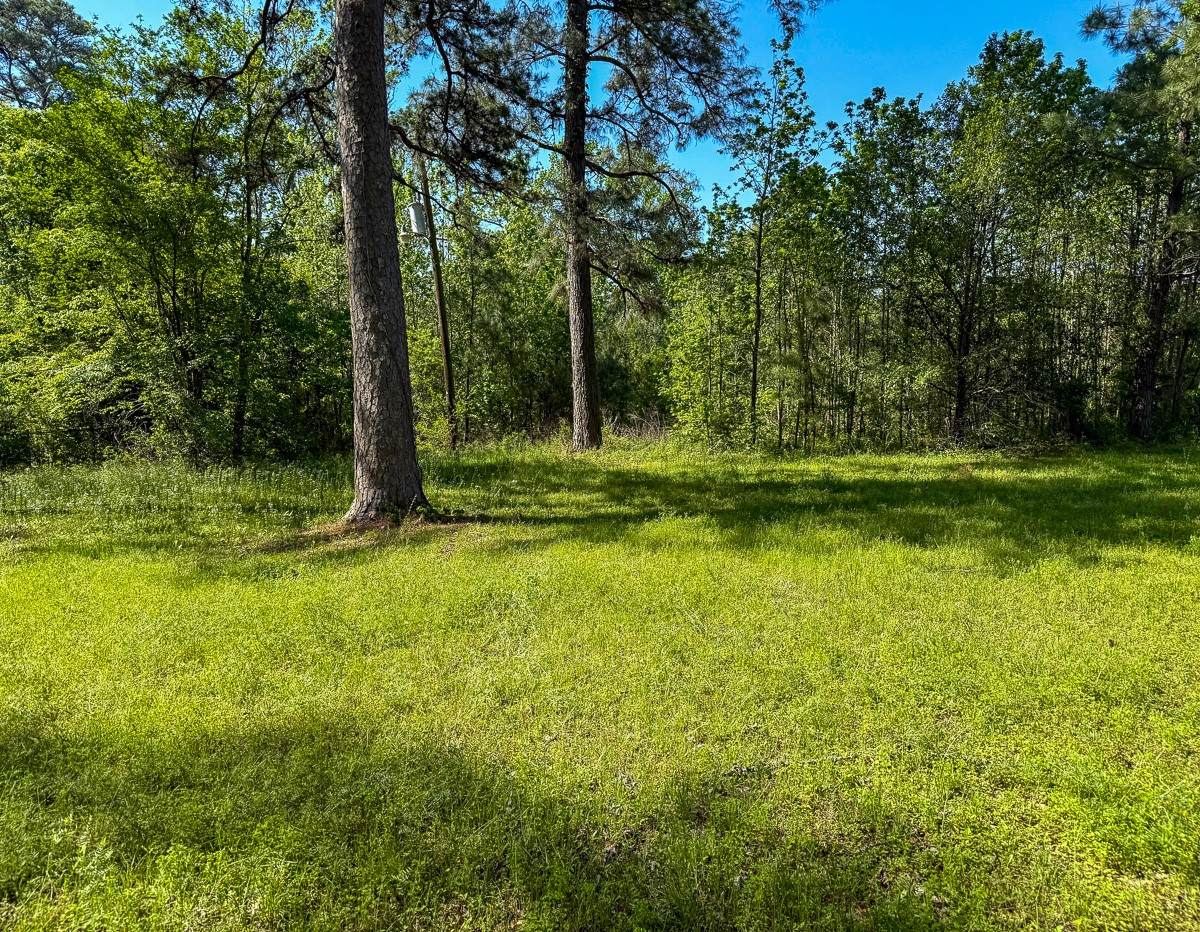 0 Old Houston Rd - Photo 1