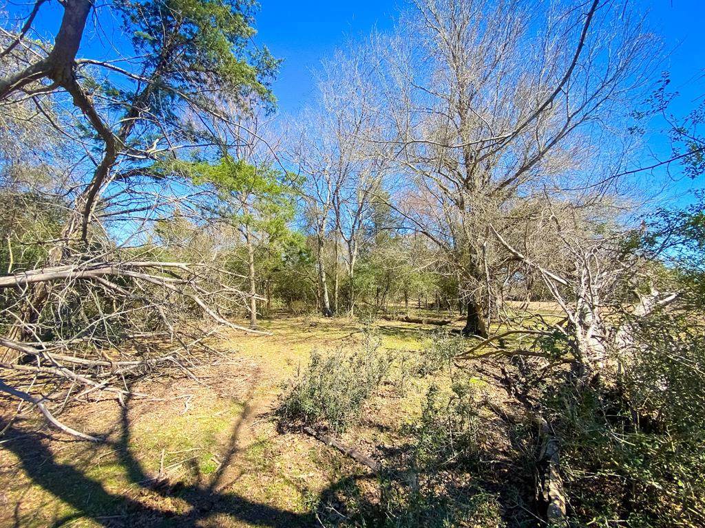 2918 Farm Road 696 - Photo 1